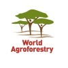 World Agroforestry logo